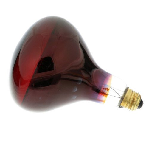 381033 Food Warmer Infrared Heat Lamp, Red, 120v, 250w, NSF Listed