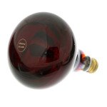 381033 Food Warmer Infrared Heat Lamp, Red, 120v, 250w, NSF Listed