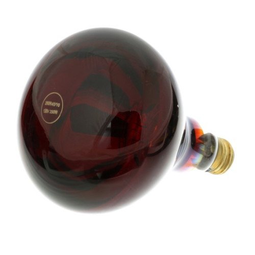 381033 Food Warmer Infrared Heat Lamp, Red, 120v, 250w, NSF Listed