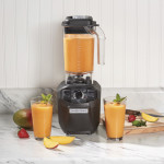 Hamilton Beach HBH455 The Tango™ Blender, (2)Speed(s), Pulse, Variable Timer, 48oz Container, 2.4hp, 10amps, 120v/60/1-ph, NSF Listed