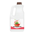 TeaZone J1091 Watermelon Syrup, 64oz Bottle, 6 each