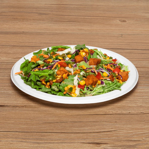 Karat® Earth KE-BPR09-1CFF 9 inch Compostable Bagasse White Round Plate, PFAS Free, BPI Approved, 500 each