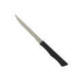Thunder Group SLSK117 Steak Knife, Pointed Tip, Stainless Steel Blade, Plastic Handle, 7-5/8(w) x 1/2(d) x 1/4(h) inch – 1 dozen