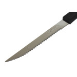 Thunder Group SLSK117 Steak Knife, Pointed Tip, Stainless Steel Blade, Plastic Handle, 7-5/8(w) x 1/2(d) x 1/4(h) inch – 1 dozen